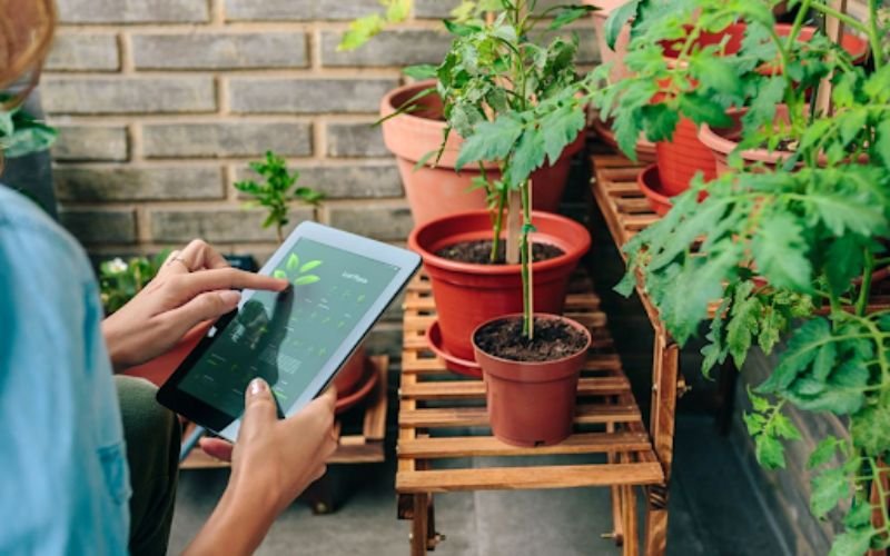 Smart gardening app used to monitor plant health and growth