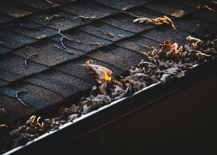 Clogged roof gutter filled with leaves before rainy season maintenance