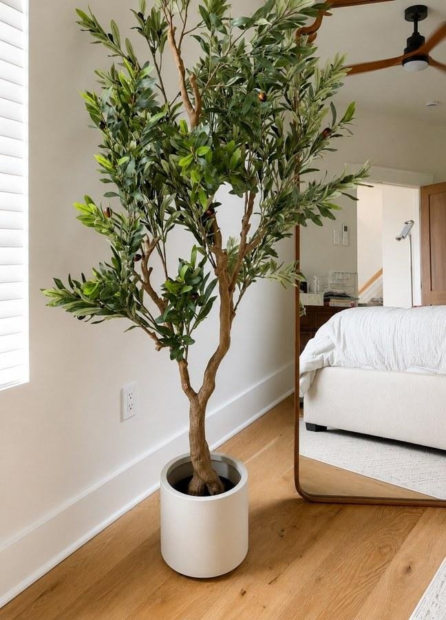 A faux olive tree in a bedroom corner, seen in a dressing mirror